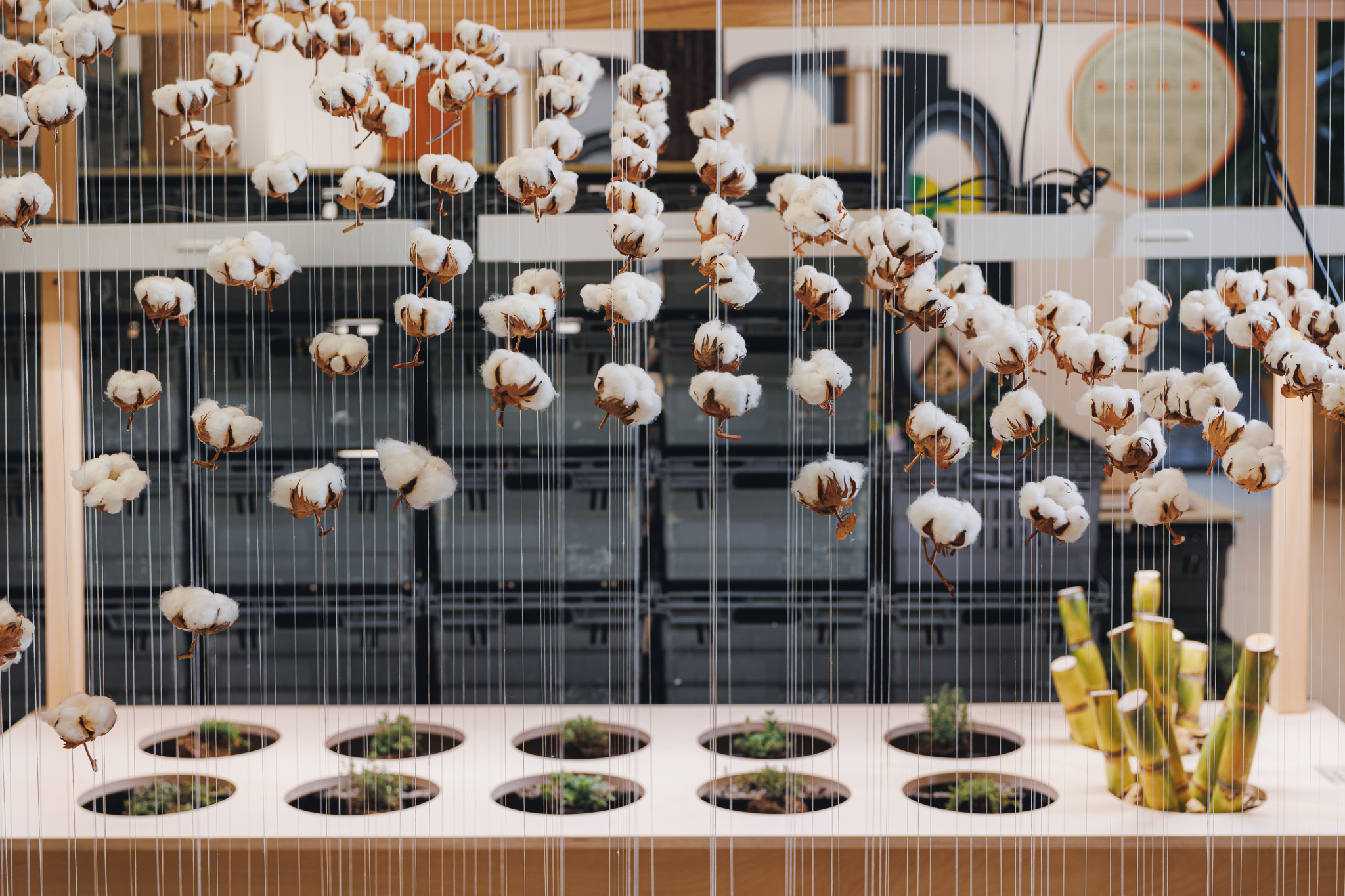 The Future Is Grown: Why Fashion and Food Innovations Are Solving the Same Problems