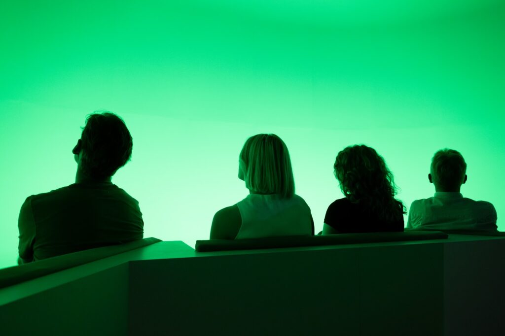 Visitors seen from behind, looking into green light in Chasing the Dot