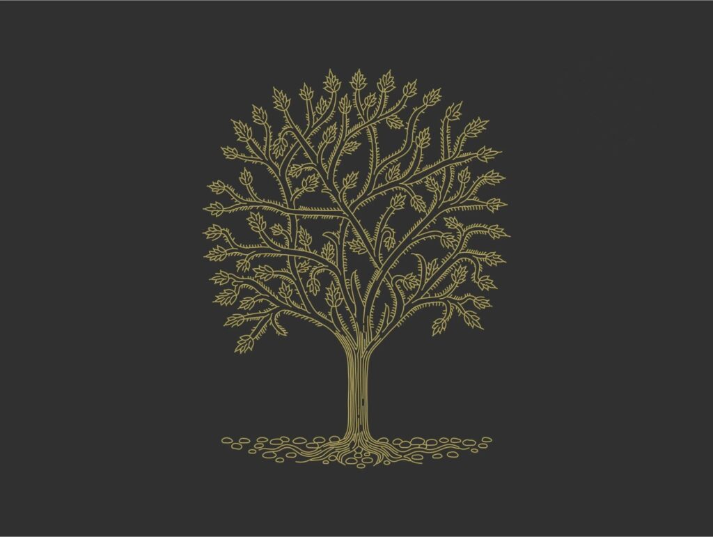 The School of Life: An Evening on Legacy